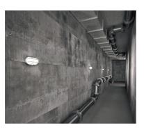 Svítidlo stropní a nástěnné OVAL PLAST SOP-60/C 60W IP44 černá PANLUX (3)